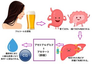 二日酔い防止、お酒と上手に楽しく付き合う4つの極意